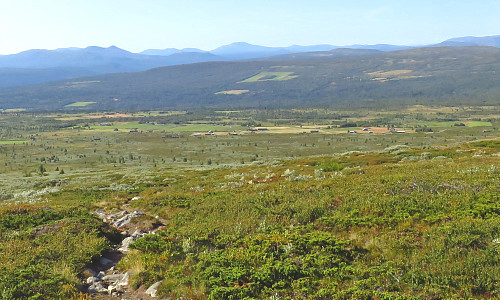Breistulen
