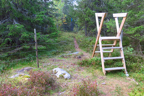 Almenningsskigarden langs Stenshaugstien