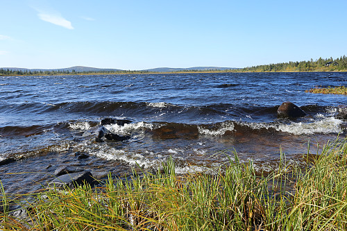 Bølgan blå