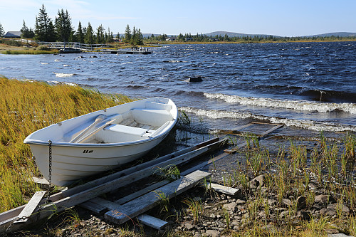 Sur vind på Ljøsvatnet