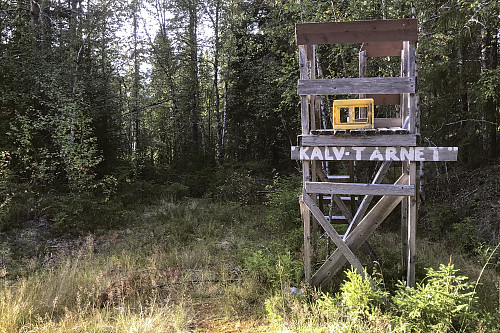Og her var det en elgkalvpost. 