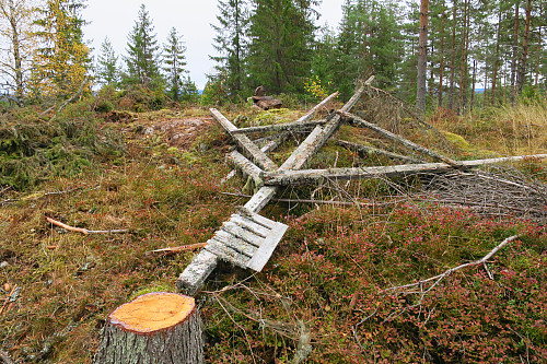 Kolmyrhaugen