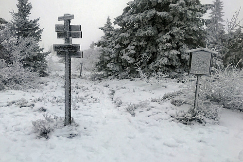 Appelsinhaugen