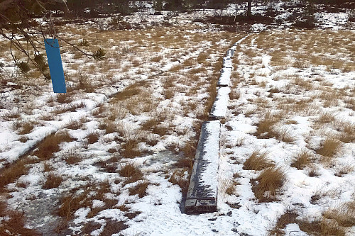 Blautmyra før Hestfjellet