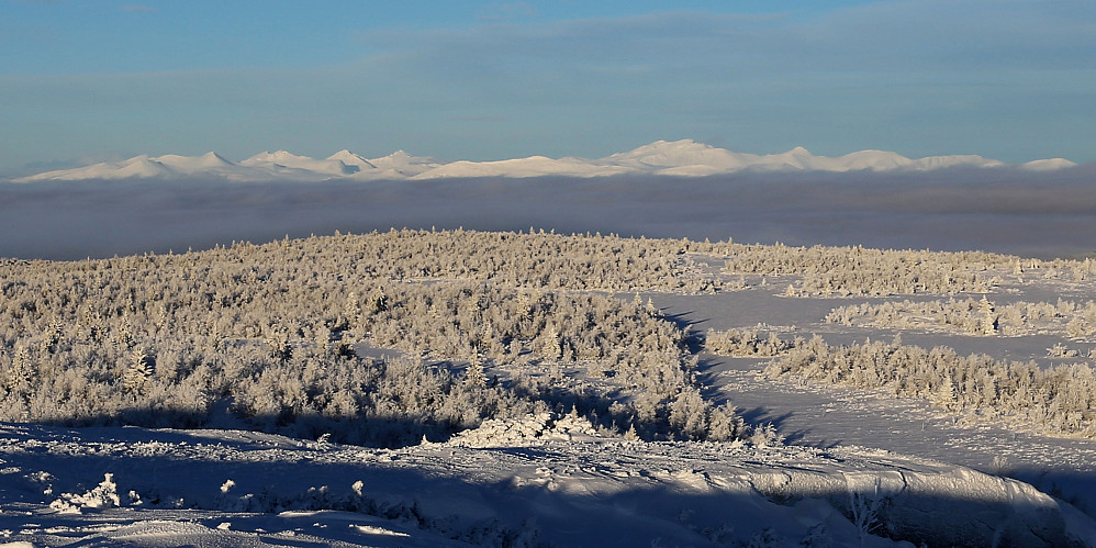 Rondane