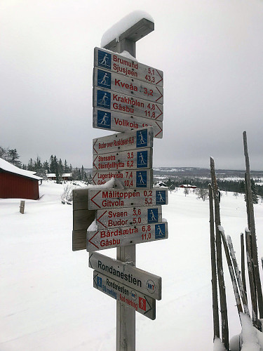 Mange alternative skiløyper her.