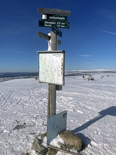 Mortenshøgda