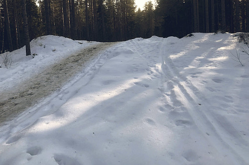 Øståsløypa har ikke vært oppkjørt i vinter