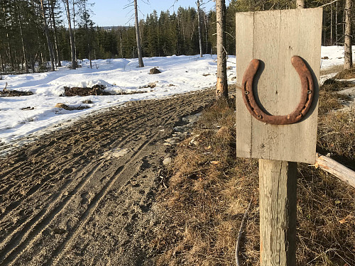 På riktig kurs