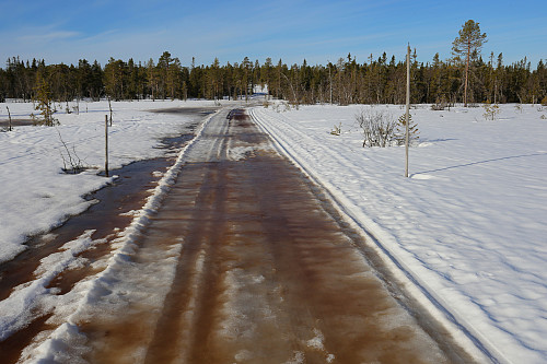 På myrene ved Krakholen