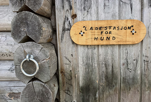 Tilbud på Hølmyrkampa