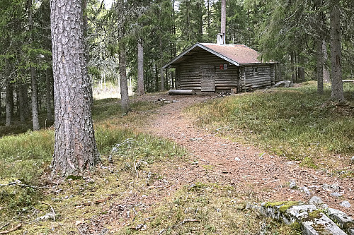 Sletthellkoia