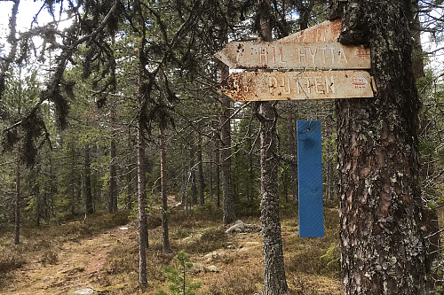 Kjente turnavn som ble brukt tidligere.