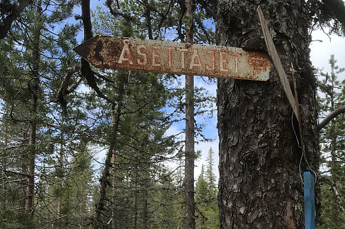 Åsettajet var et fint utgangspunkt for turer.