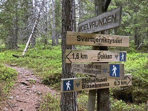 Moelvrunden og noen navn for området.