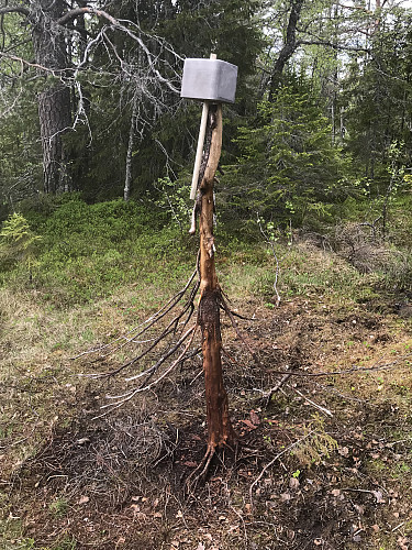 Her har det vært mange før meg, veldig opptråkket.