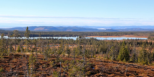 Gutåsen. Utsikt mot Brumundsjøen