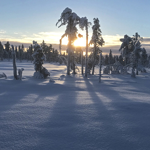 Lav kveldssol skaper fine skygger