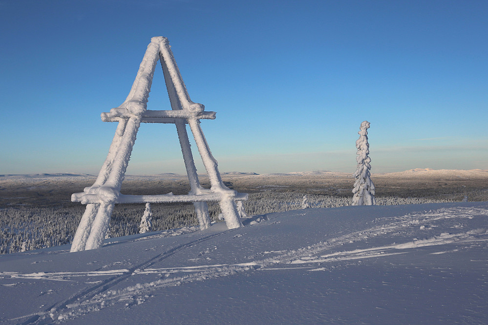 Brumundkampen
