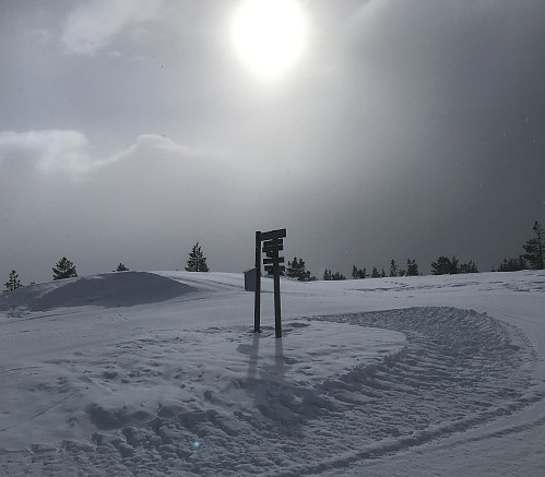 Sola dukker fram igjen etter ei snøele.