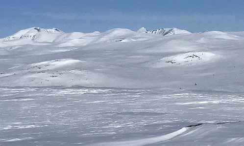 Rondane