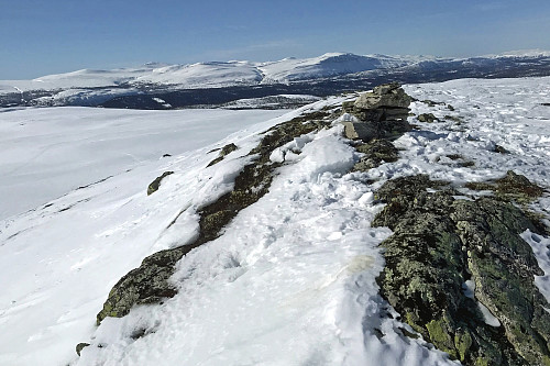 Bølhaugen