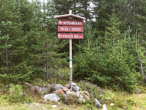 Brattbakken