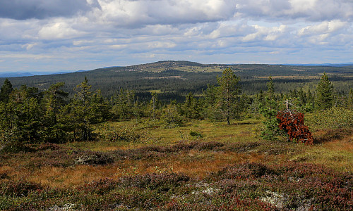 Brumundkampen