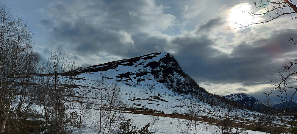 Nysæternakken sett fra nord