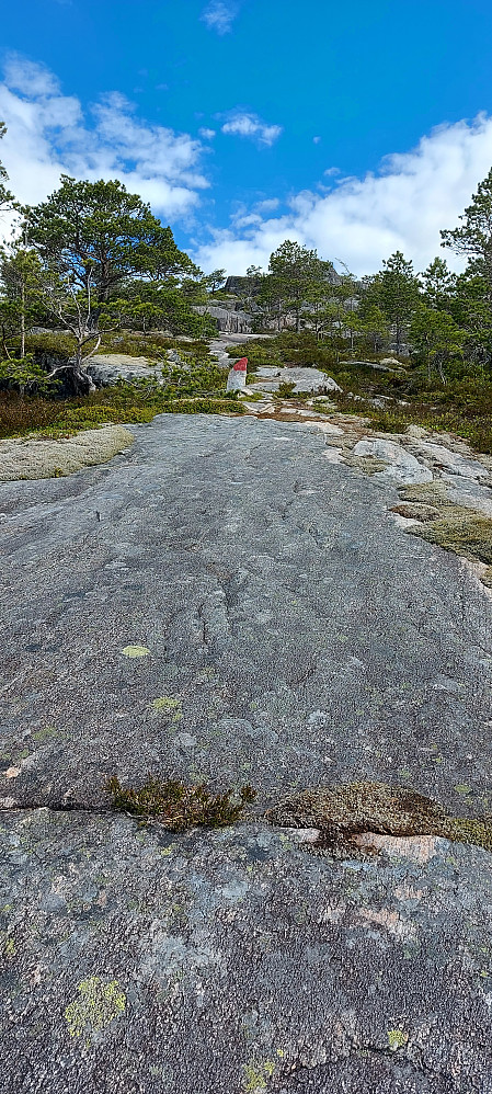Godt merka sti, i åpen furuskog og på blankskurt fjell 