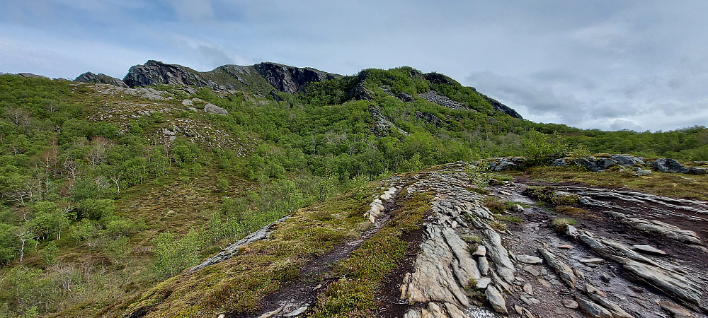 Parkerte på liten parkeringsplass ved rv 17. Godt merka sti hele veien og fint terreng å gå i. Relativt tørr sti, selv etter gårsdagens regnvær. I dag var det fint turvær, lettskyet og glimt av sol, så det var bare å komme seg ut på tur 