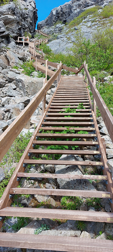 Inne ved foten av fjellet begynte den lange trappen som snirklet seg oppover til toppen på Ravnfloget, 350 moh. Totalt 1364 trinn