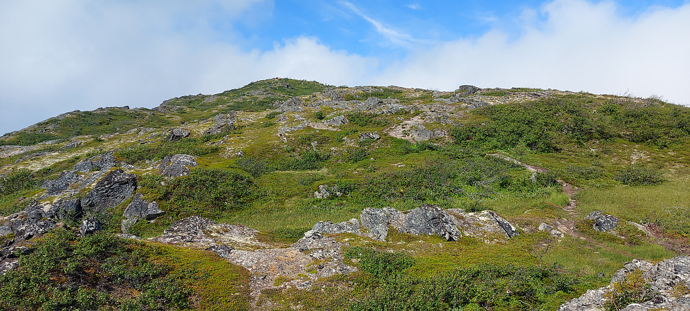 Fint å gå opp mot Brusen