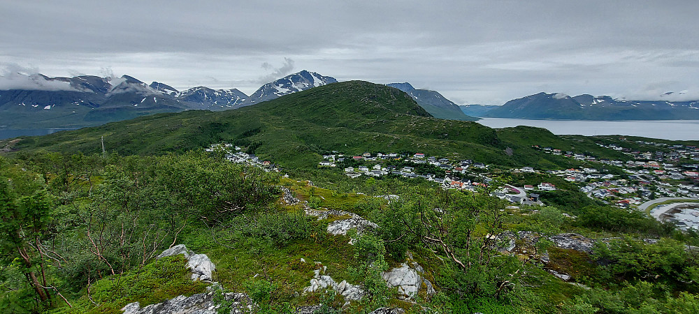 Skjervøy og Skattørfjellet