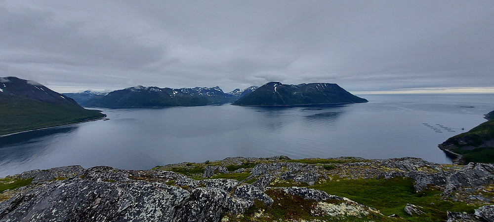 Arnøya og Laukøya