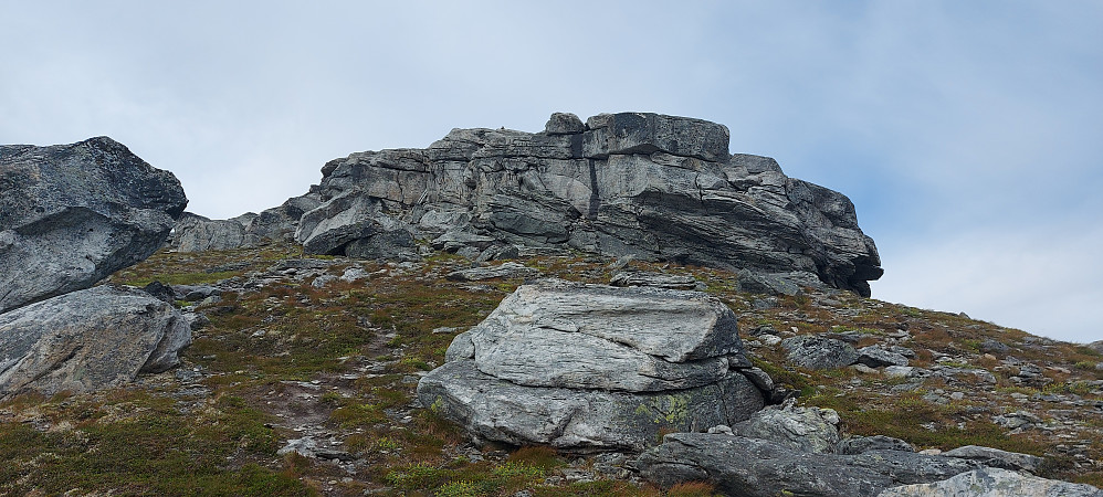 Fra skaret og opp til toppen er det mer stein og lyng. Stigen opp til toppen er godt boltet fast, og helt kurant å klatre i