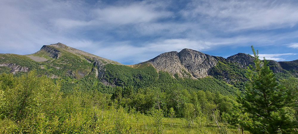 Hatten til venstre og Bjørnkjeften til høyre. Stien går bratt opp i skogen i skaret mellom toppene. Mye fin sand i stien opp til ca 600moh. Etter regnet de siste dagene, var sanden fast og fin å gå på i dag. 