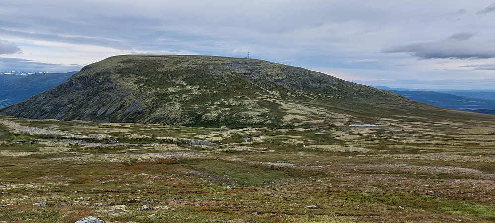 Allmannberget