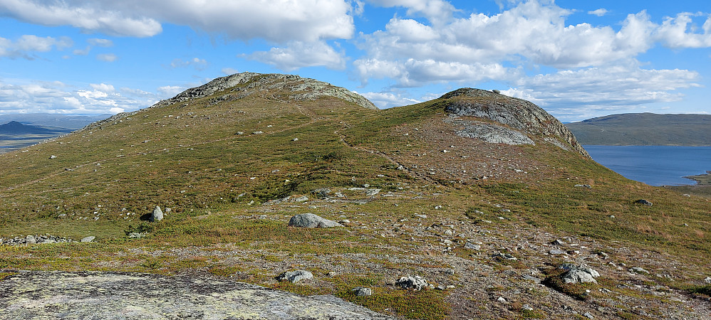 Ryggen opp mot Urekkollen. Fra litt før Urekkollen var det igjen mulig å gå på sti. God sti ned gjennom en del kratt til parkeringen.