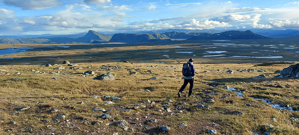 Sørvestover mot Fagerdalshøene og Bitihorn