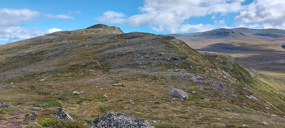 Ryggen fra Langberget oppover mot Søre Brurskardknappen. God sti opp til toppen. Delvis sti videre mot Nordre Brurskardknapp og fra Brurskardtjønne ned til parkeringen igjen. 