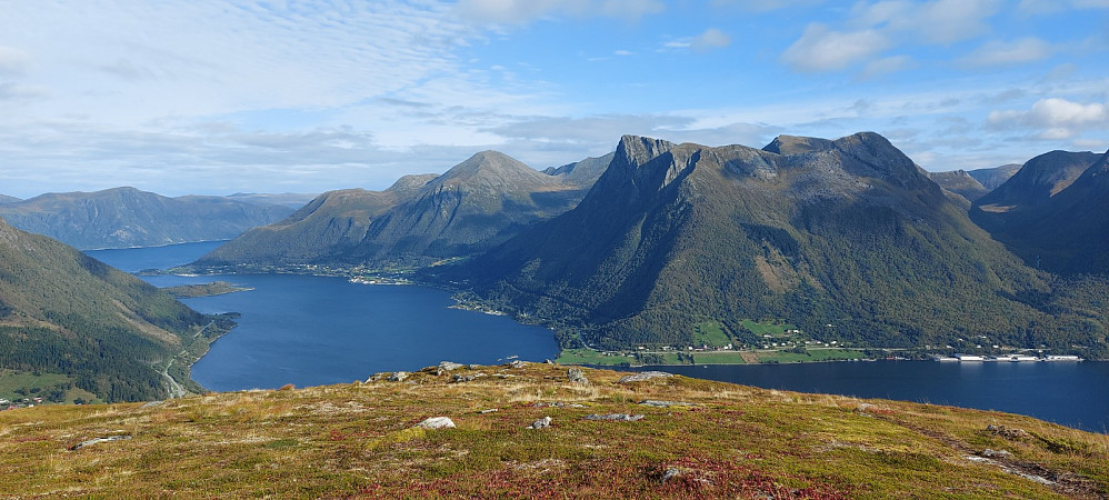 Liahornet, Liadalsnipa og Bjørnastighornet