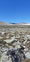 GunnarK_20210716_60f1d9447a187.jpg