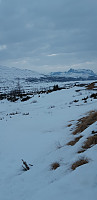 GunnarK_20220323_623b33153759d.jpg