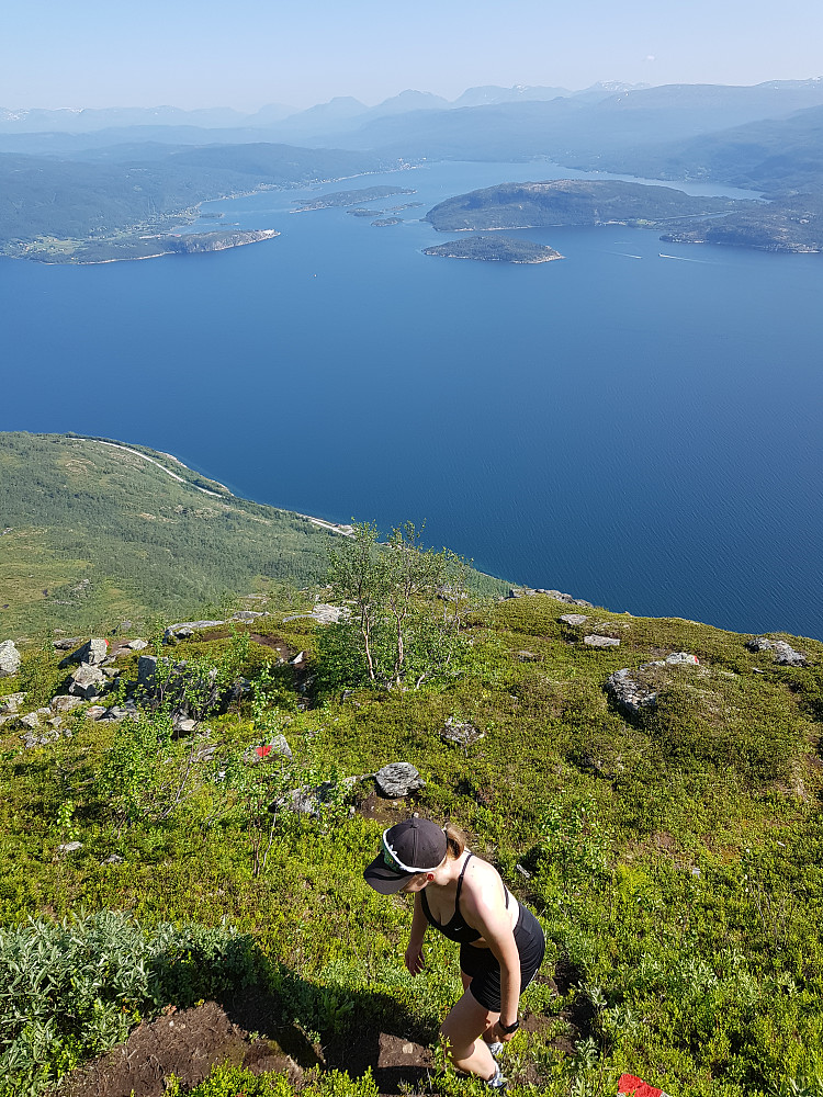 Oppver Aksla med utsikt inn Sagfjorden til Sjøvegan