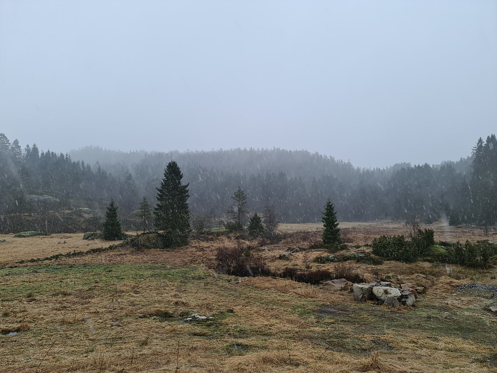 Mot toppen fra parkeringa. Krysset rett over jordene da det er sesongen for sånt.