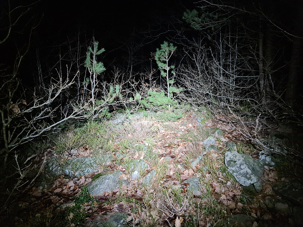 Høyeste punkt, mistenker at dette er gravrøys nr. 2