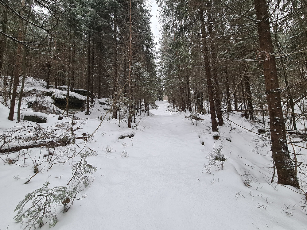 Snødekte Kragerøstier