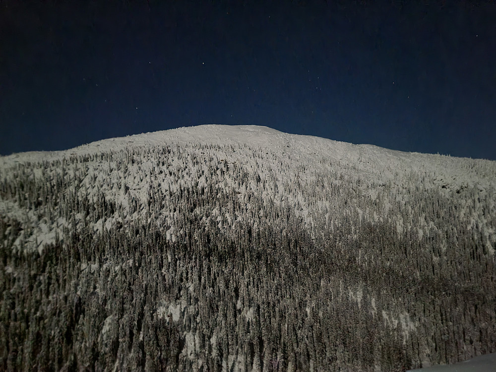 Originalmålet Langemyrfjellet