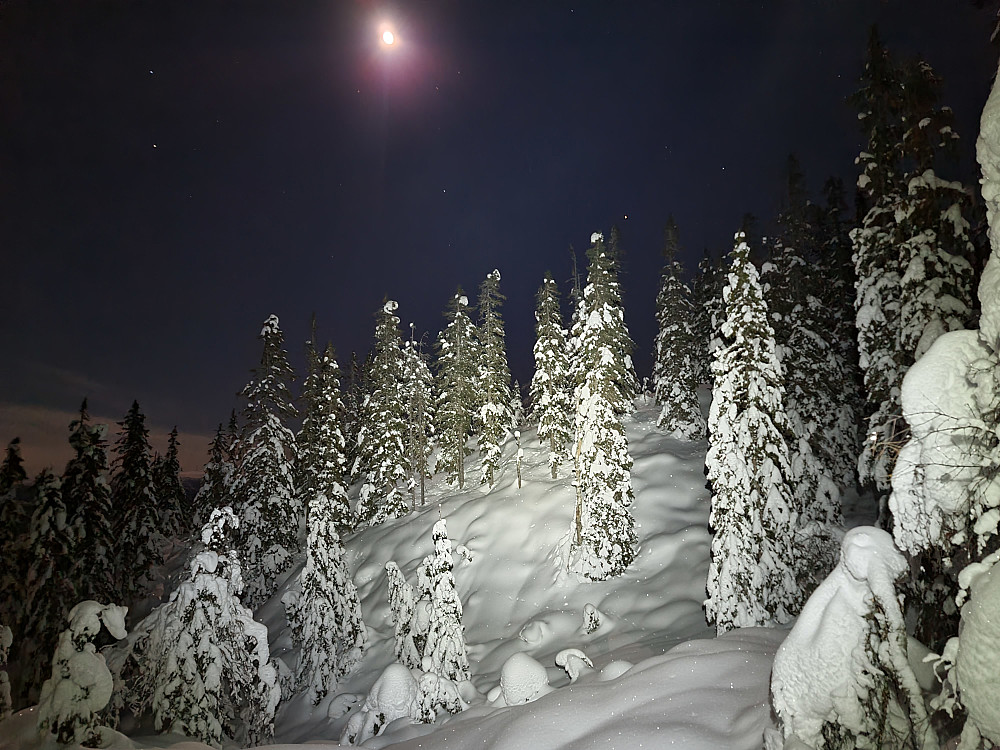 Månelyst og herlig nysnø!